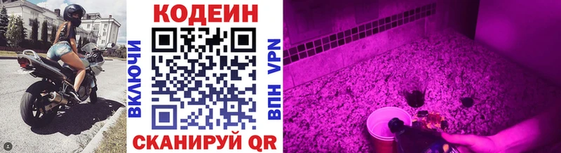 Кодеиновый сироп Lean Purple Drank  сколько стоит  hydra рабочий сайт  Болохово 