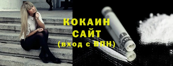 СК Алексин